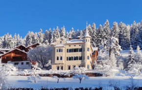Villa Martiner Apartments Francesco Ortisei